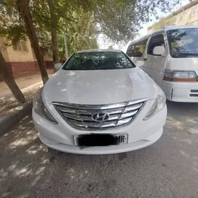 Hyundai Sonata 2010