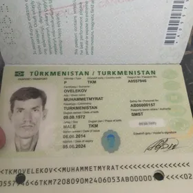 zagran tapyldym