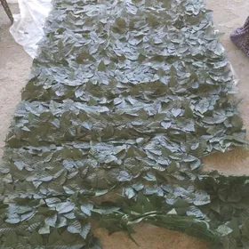 emeli yaprak