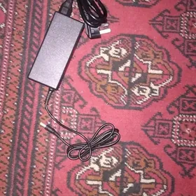 acer zaryatnik