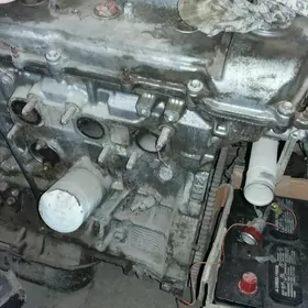 T.siýenna motor 3-lik