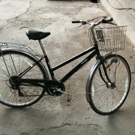 Ýapoşka Tigir 27 lik