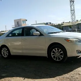 Toyota Camry 2010
