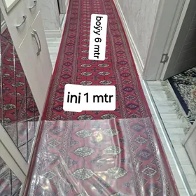 haly turk