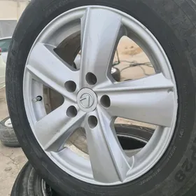okuz kelle Disga R16
