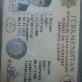 Sürüjilik şahadatnam