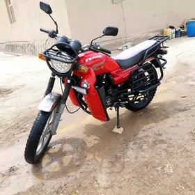 Fekon FK150-8G 2014