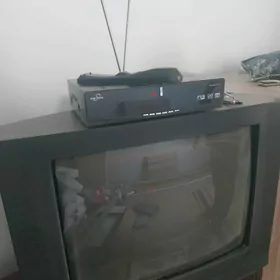 Telewizor