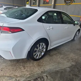 Toyota Corolla 2020