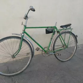 ural tigir