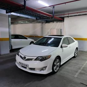 водитель woditel  Camry 2013