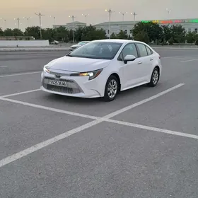 Toyota Corolla 2020
