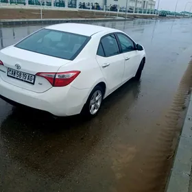 Toyota Corolla 2014