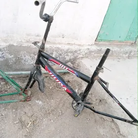 welik zapjas