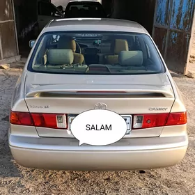 Toyota Camry 2001
