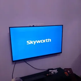 Skyworth 51