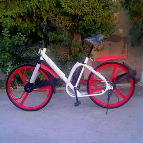 TIGIR  MERSEDES  BENZ