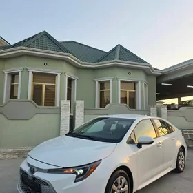 Toyota Corolla 2021