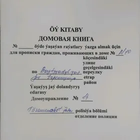 Satlyk jay