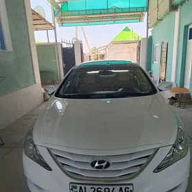 Hyundai Sonata 2010