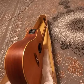 Rok Elektro Gitara