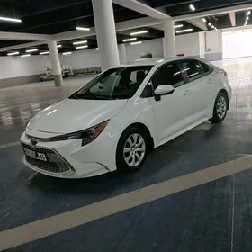 Toyota Corolla 2021