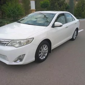 Toyota Camry 2013