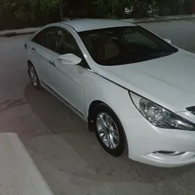 Hyundai Sonata 2010