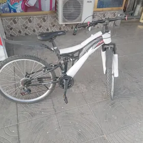 welik spartiwni