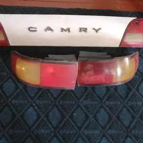 Camry stopnik