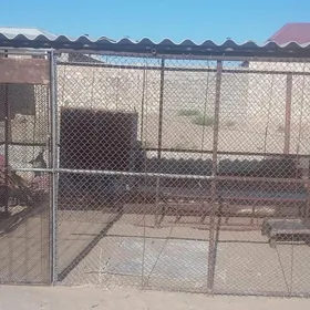 towuk ketek
