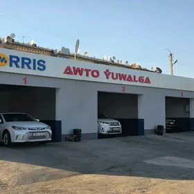 Moýka işgär gerek
