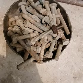 bolut gayka