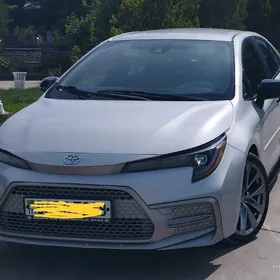 Toyota Corolla 2021