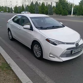 Toyota Corolla 2019