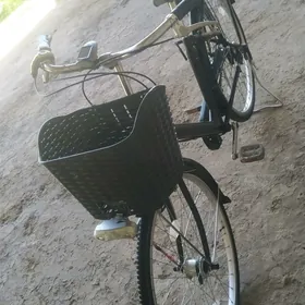 wolspet 26 lyk