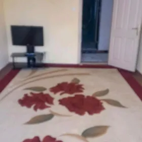Mir 7 3 komnat Arenda