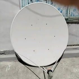 kici antenin ulysy