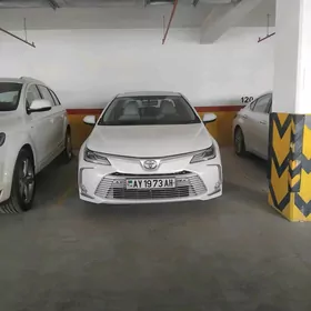 Toyota Corolla 2019