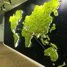 Карта мира из мха