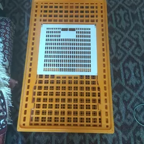 клетка