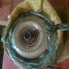 karopga leklus