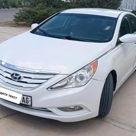 Hyundai Sonata 2010
