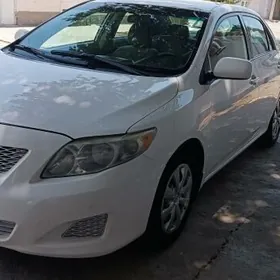 Toyota Corolla 2010