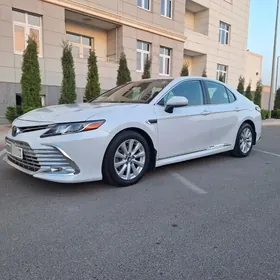 Toyota Camry 2020