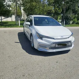 Toyota Corolla 2020
