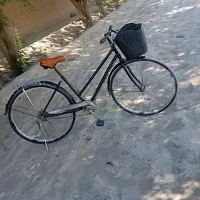 welik 27