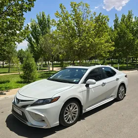 Toyota Camry 2023