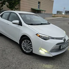 Toyota Corolla 2019