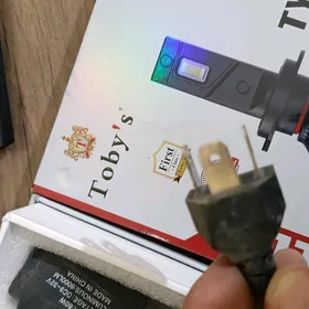 Tobys led çyra